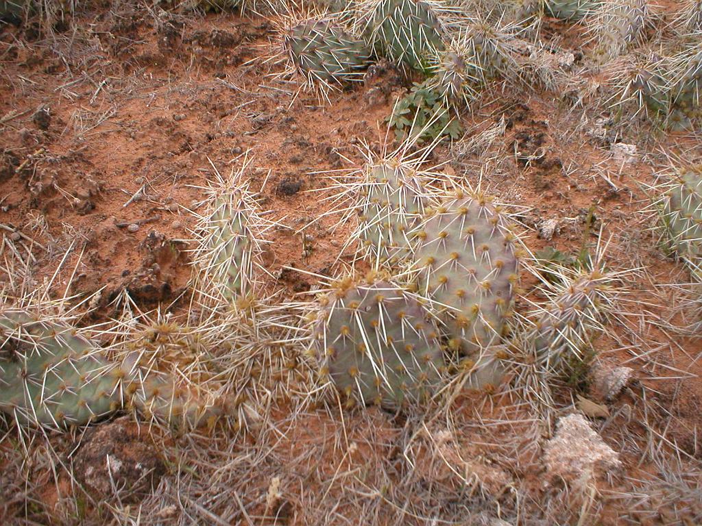 Moab 09 102.jpg
